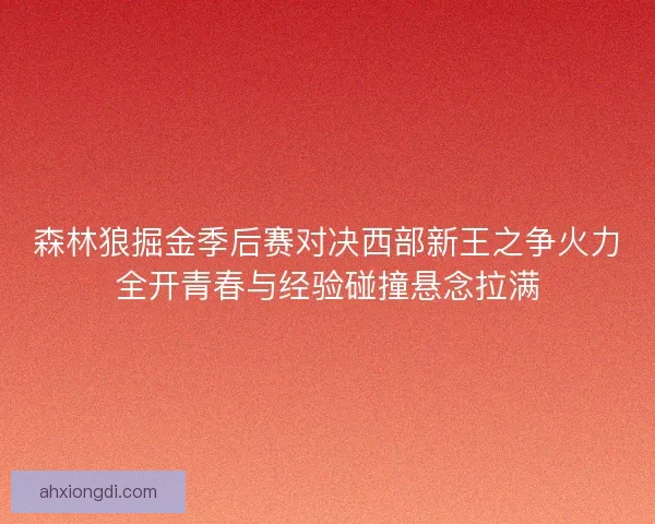 森林狼掘金季后赛对决西部新王之争火力全开青春与经验碰撞悬念拉满