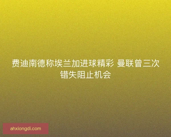 费迪南德称埃兰加进球精彩 曼联曾三次错失阻止机会